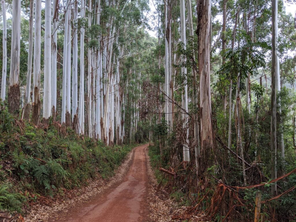 Roteiro pelo Vale do Matutu