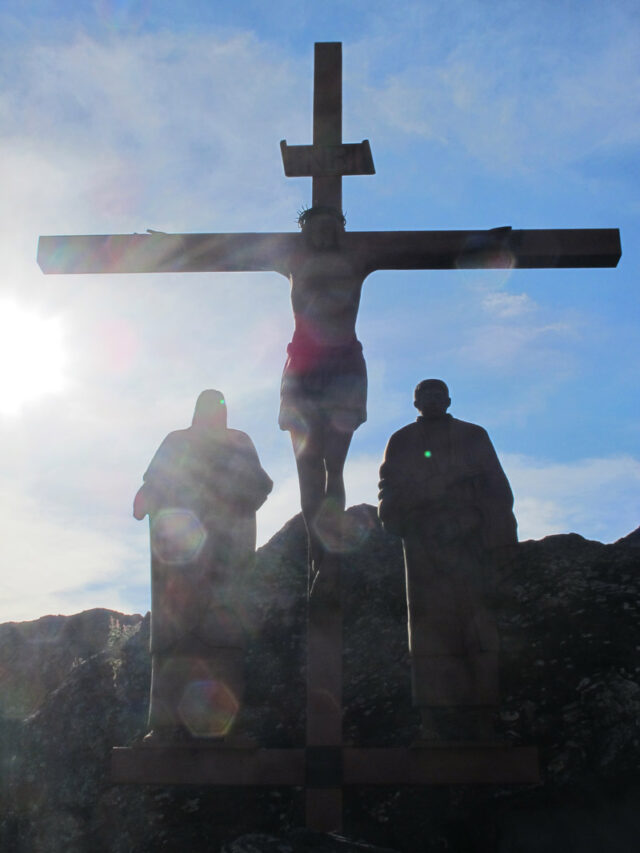 cropped-IMG_8333.jpg
