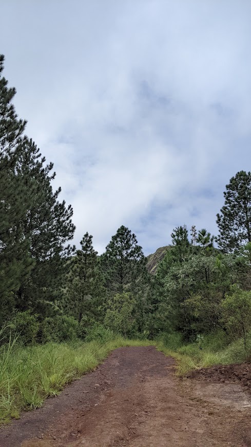 Parque da Serra do Curral
