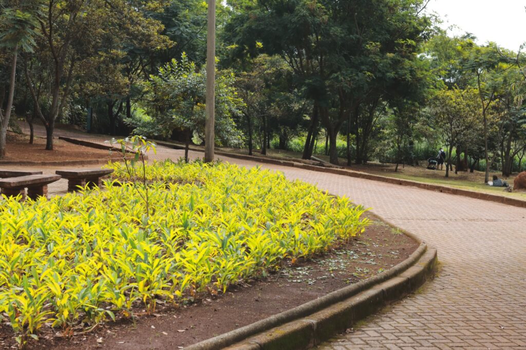 Parque da Serra do Curral