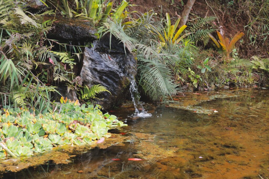 Parque da Serra do Curral